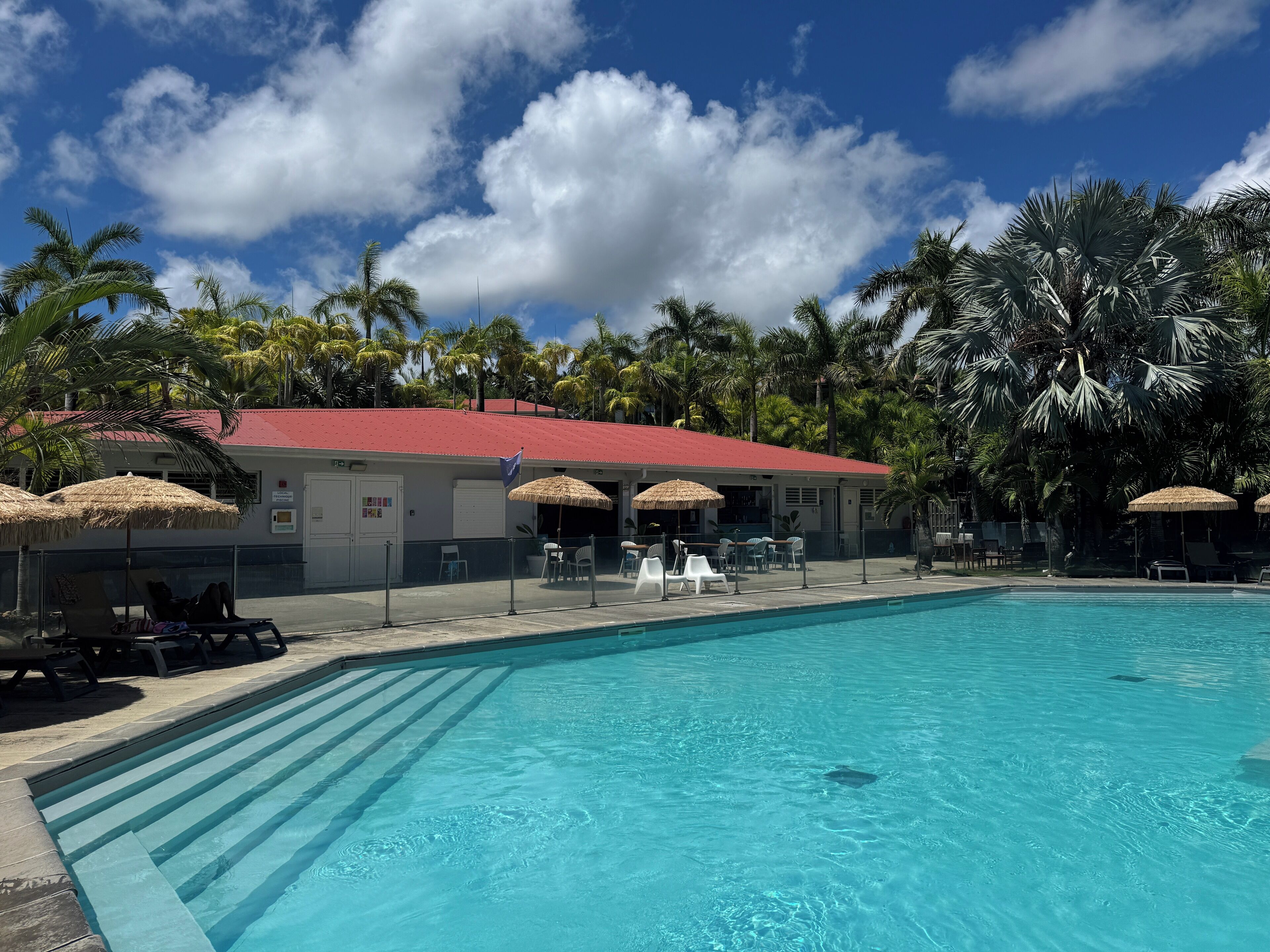 A swimming pool with lounge chairs and umbrellas, surrounded by palm trees and a building with a red roof.