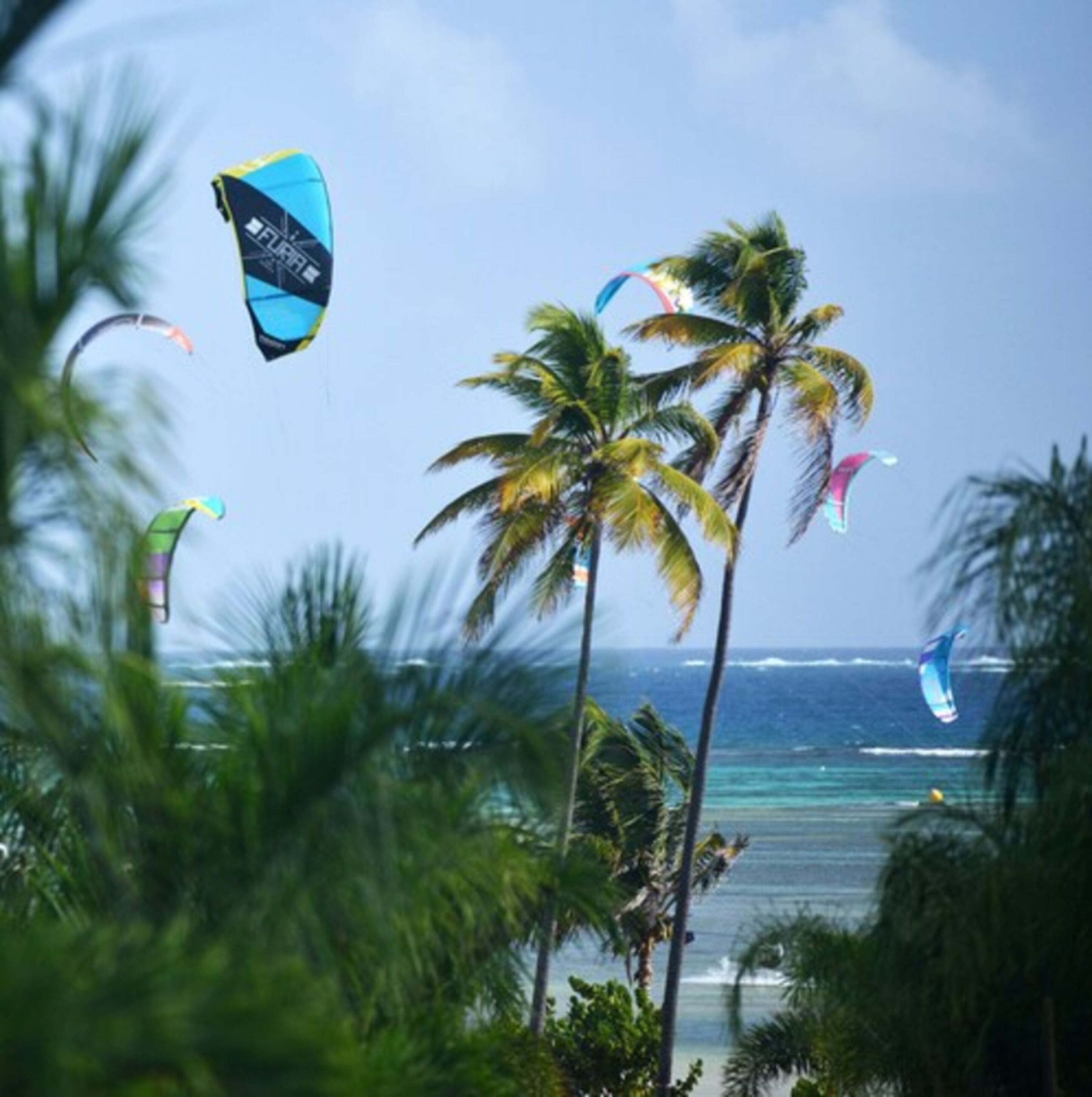 Une plage bordée de palmiers, où de nombreux cerfs-volants s’élèvent dans le ciel.