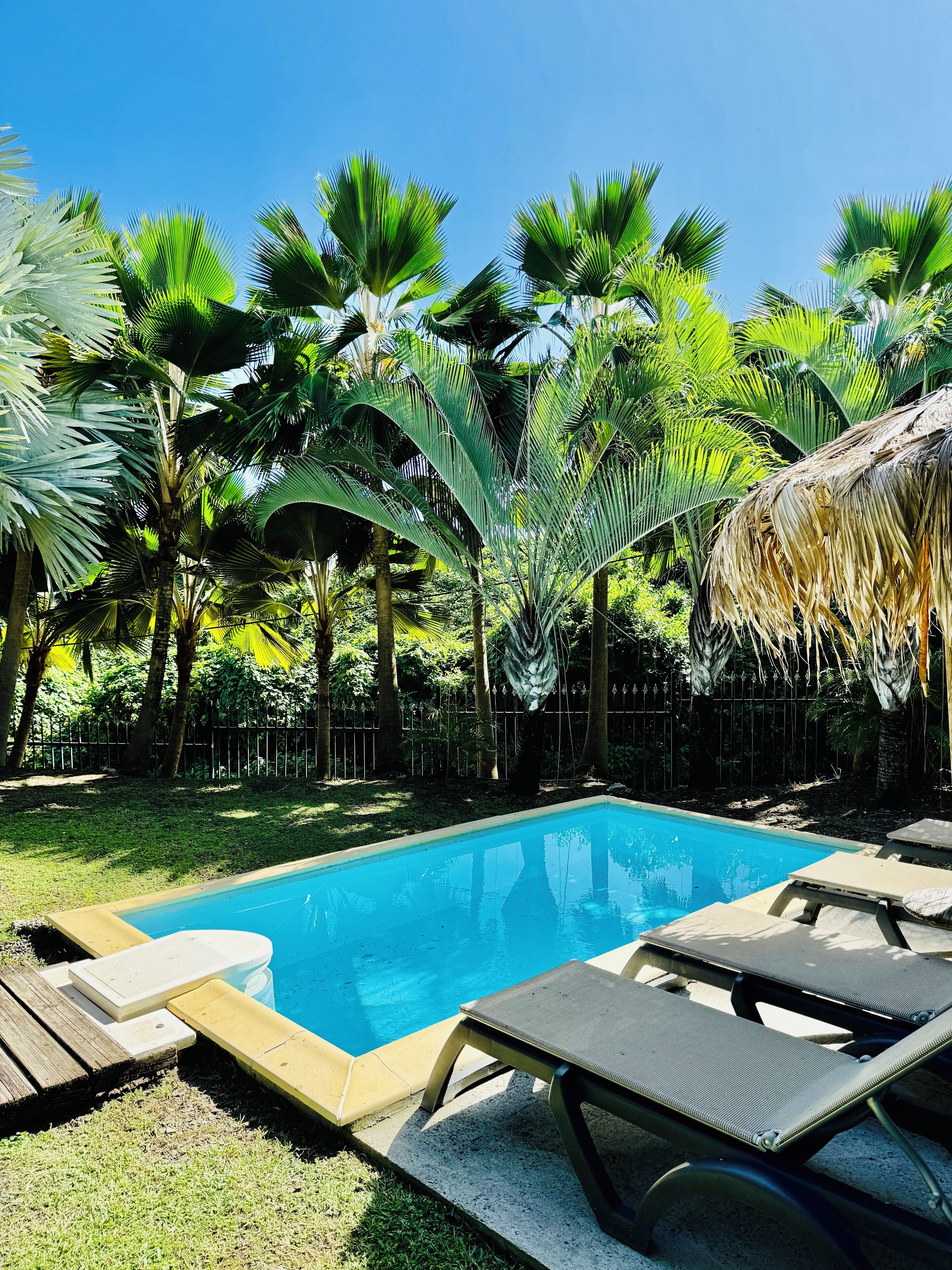 A swimming pool with lounge chairs and palm trees in the background.