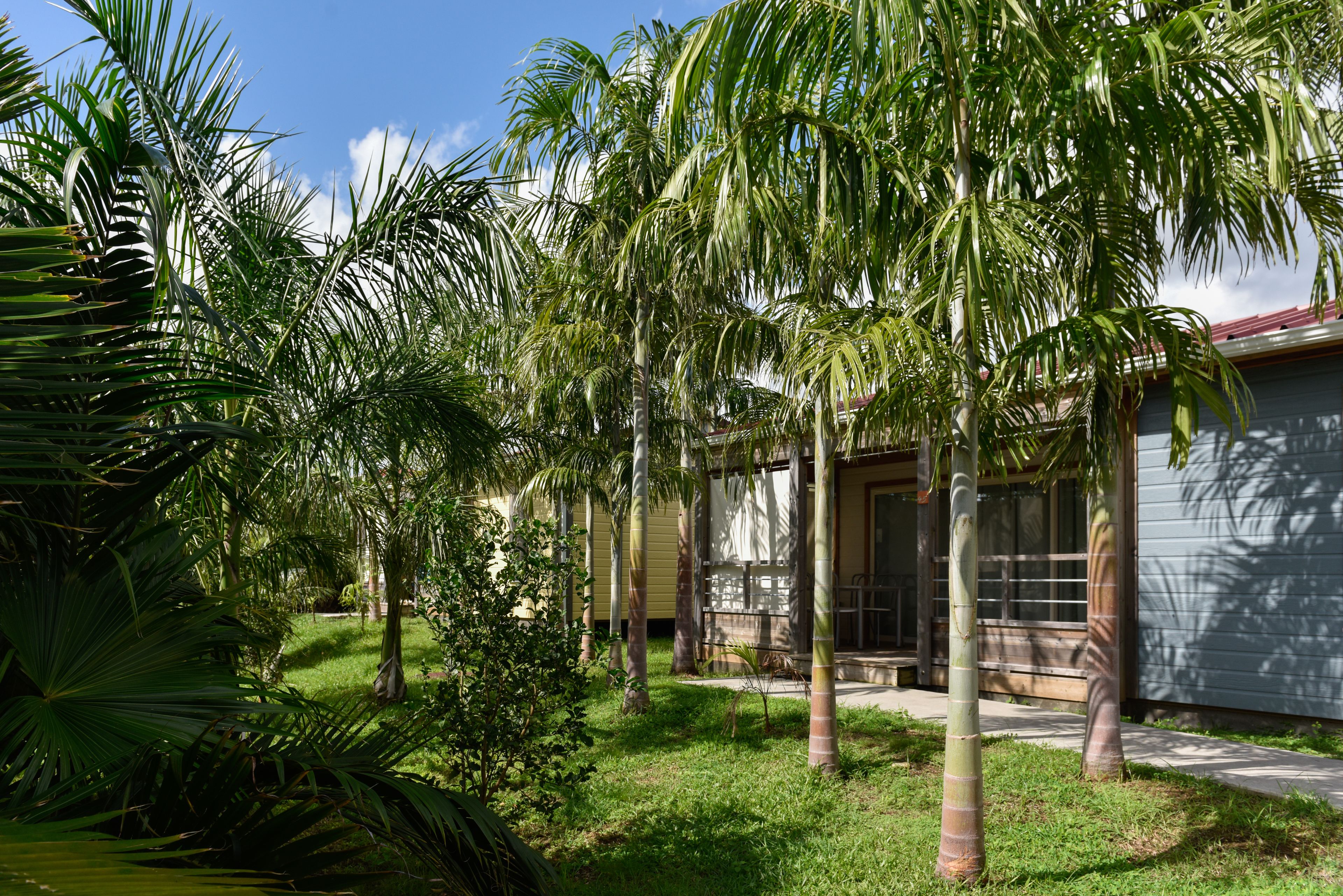 平房, 3 間臥室, 露台 | 客房景觀