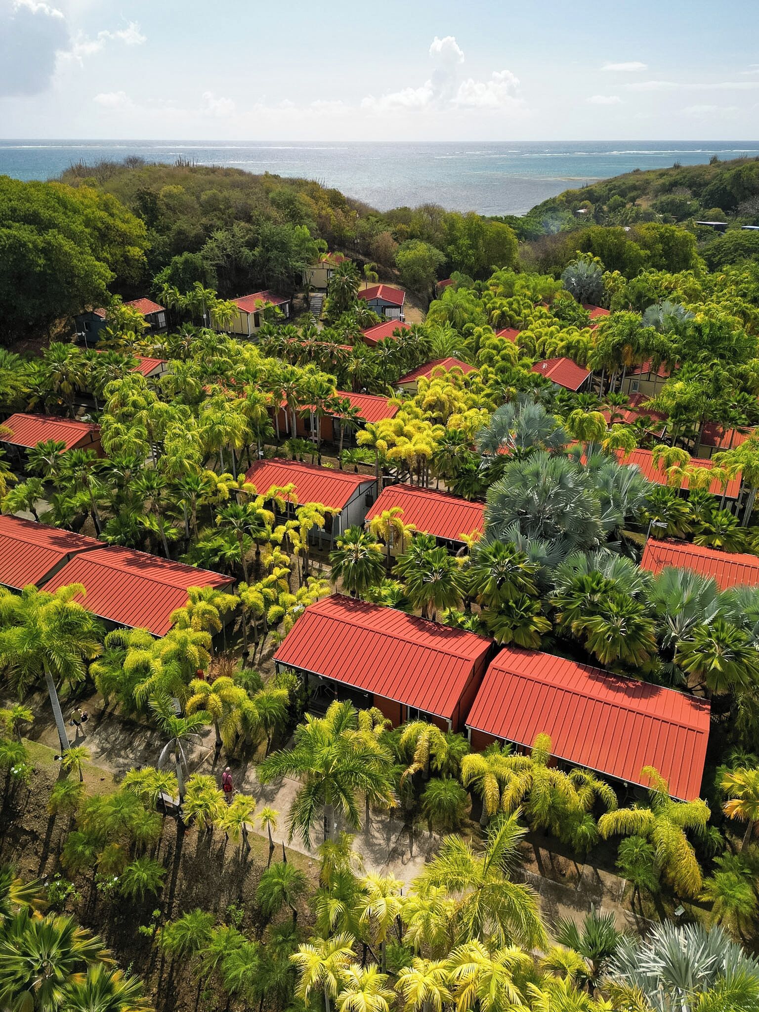 Un resort con varias edificaciones de techo rojo rodeado de abundante vegetación y vistas al océano.