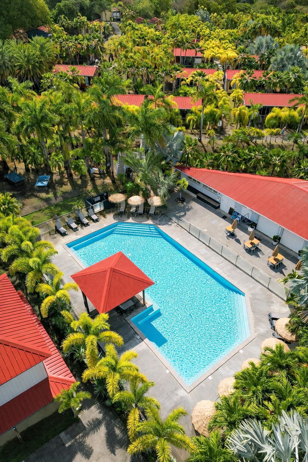 Uma piscina grande rodeada por palmeiras e edifícios com telhados vermelhos.