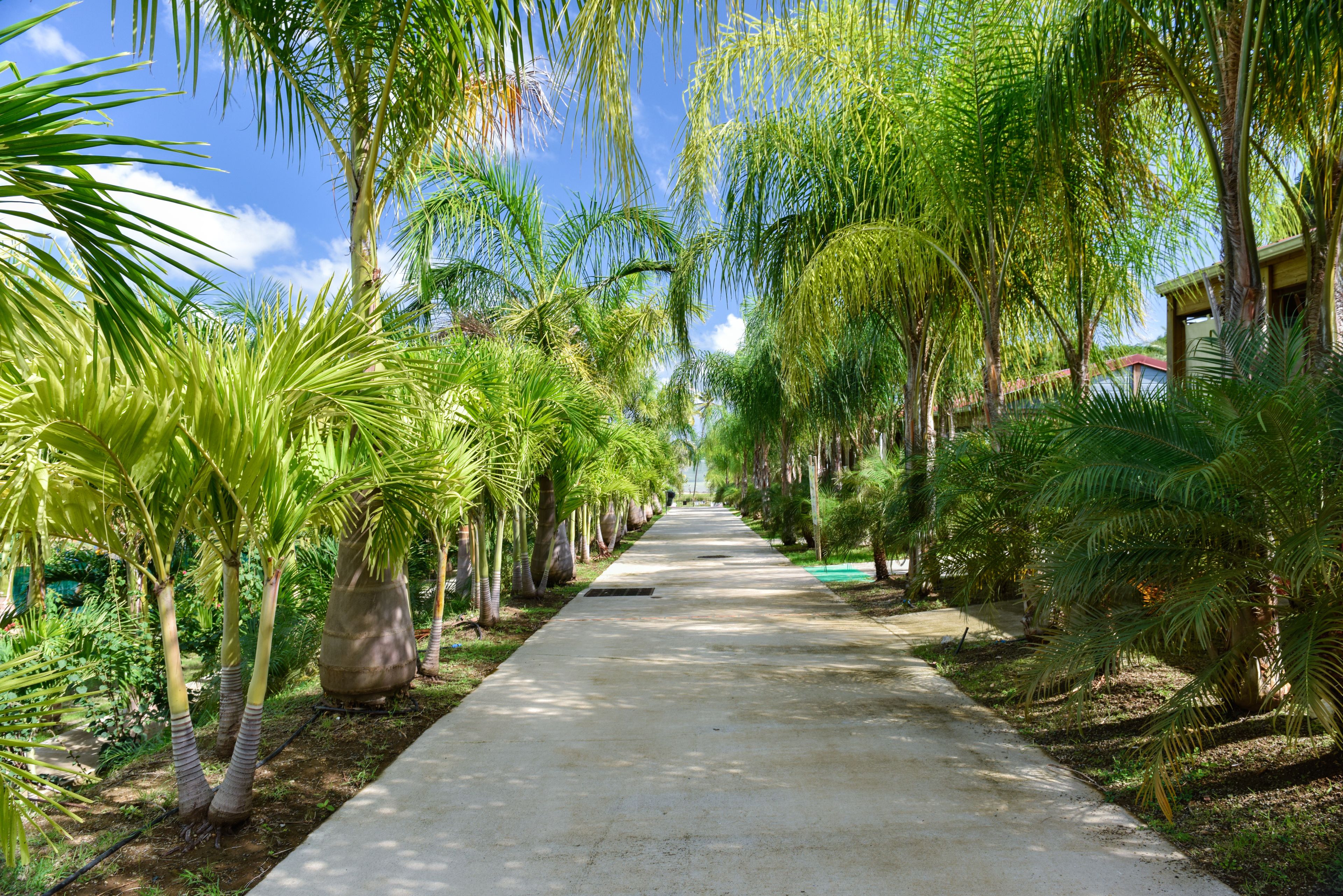 Utsikt fra overnattingsstedet