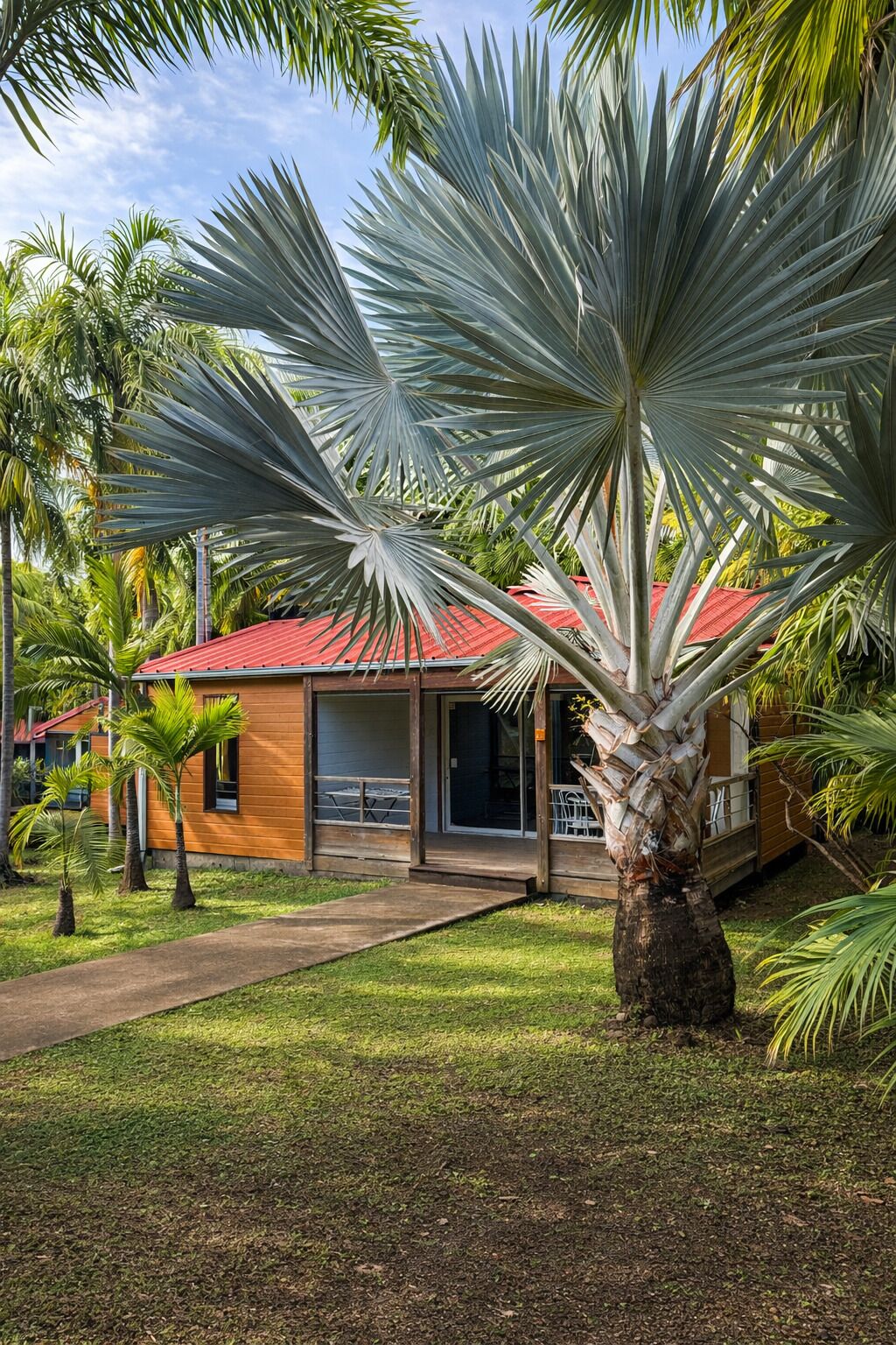 Una casa con techo rojo, rodeada de un césped cuidado y palmeras.