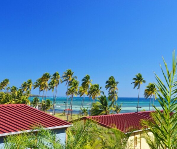 Propiedad frente a la playa con edificios de techo rojo, palmeras y un cielo azul despejado.