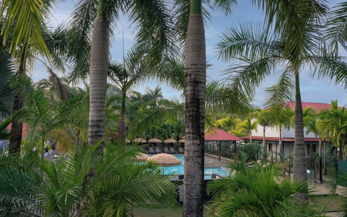 A resort with palm trees, a pool, and thatched-roof structures.