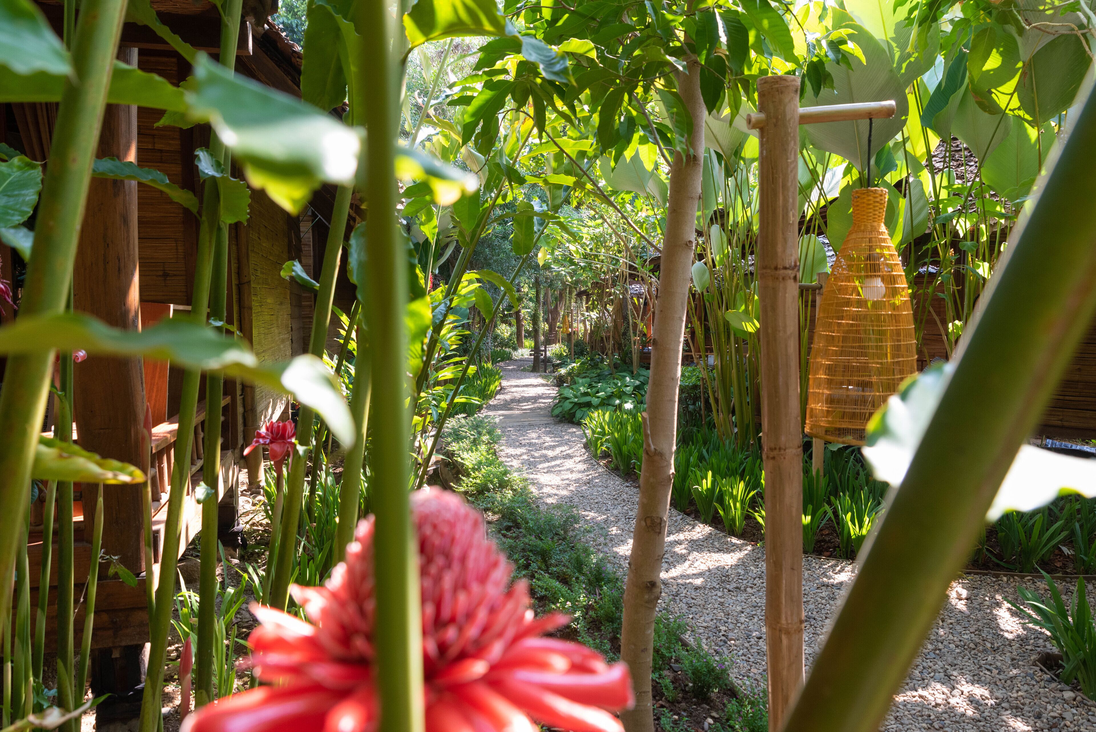 A garden pathway surrounded by lush greenery and bamboo structures.