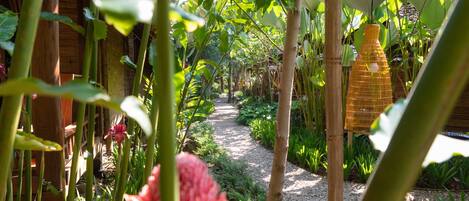 A garden pathway surrounded by lush greenery and bamboo structures.