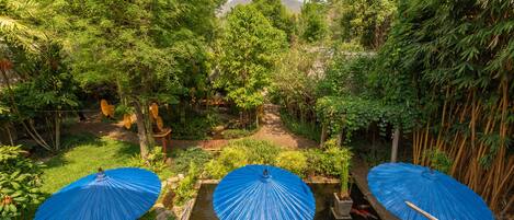 Un jardín con un estanque, rodeado de exuberante follaje y bambú. Hay tres sombrillas azules dando sombra.