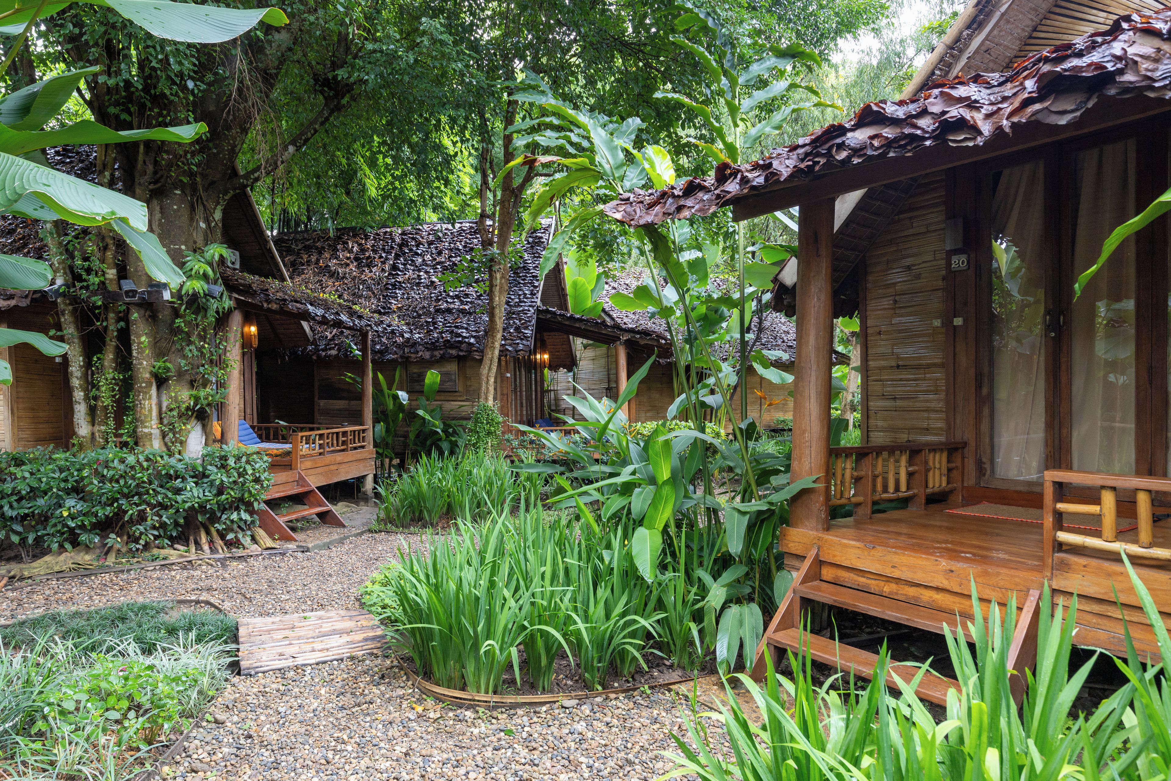 A wooden structure with a thatched roof, surrounded by lush greenery and a gravel path.