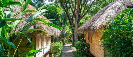 A pathway leading to thatched-roof huts surrounded by lush greenery.