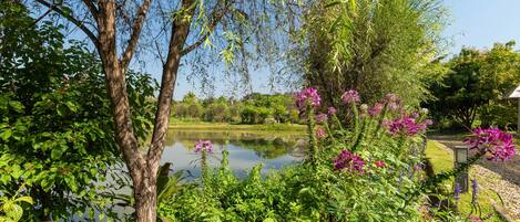 Um jardim tranquilo com lago, vegetação exuberante e plantas floridas.