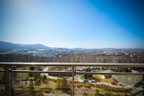 Appartamento panoramico, 1 camera da letto, vista montagna, lato montagna | Vista montagna