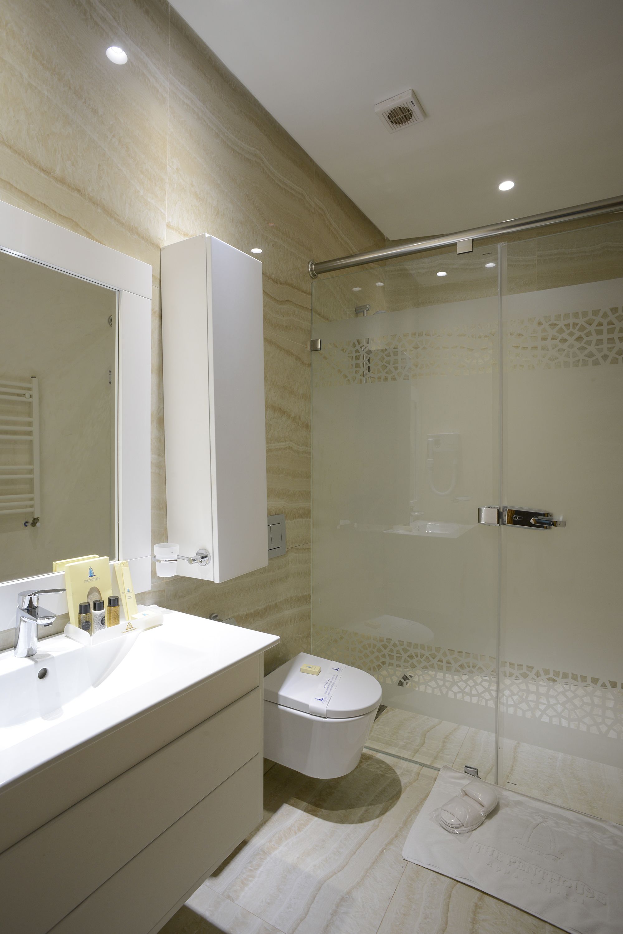 Et moderne badeværelse med en brusekabine med glasvægge, en hvid vask med et spejl over og et toilet.