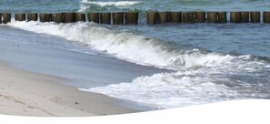 Une plage de sable où les vagues s’écrasent contre des digues en bois.
