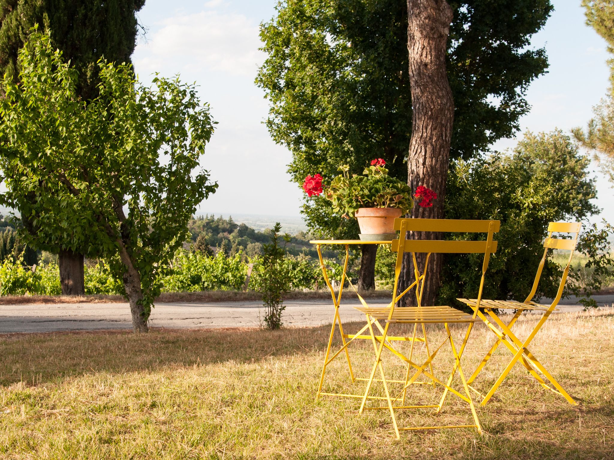 Ein gelber Klappstuhl mit Tisch und einer Topfpflanze in einer grünen Umgebung mit Bäumen und Blick auf die Landschaft.