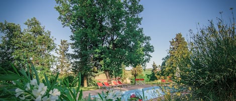 Piscine extérieure en saison, piscine sur le toit, chaises longues