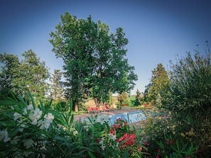 Seasonal outdoor pool, a rooftop pool, pool loungers - Agriturismo Campanacci (Faenza)