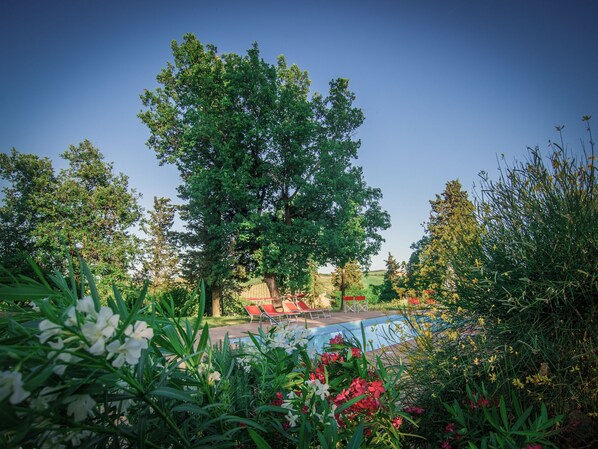Piscine extérieure (ouverte en saison), piscine sur le toit