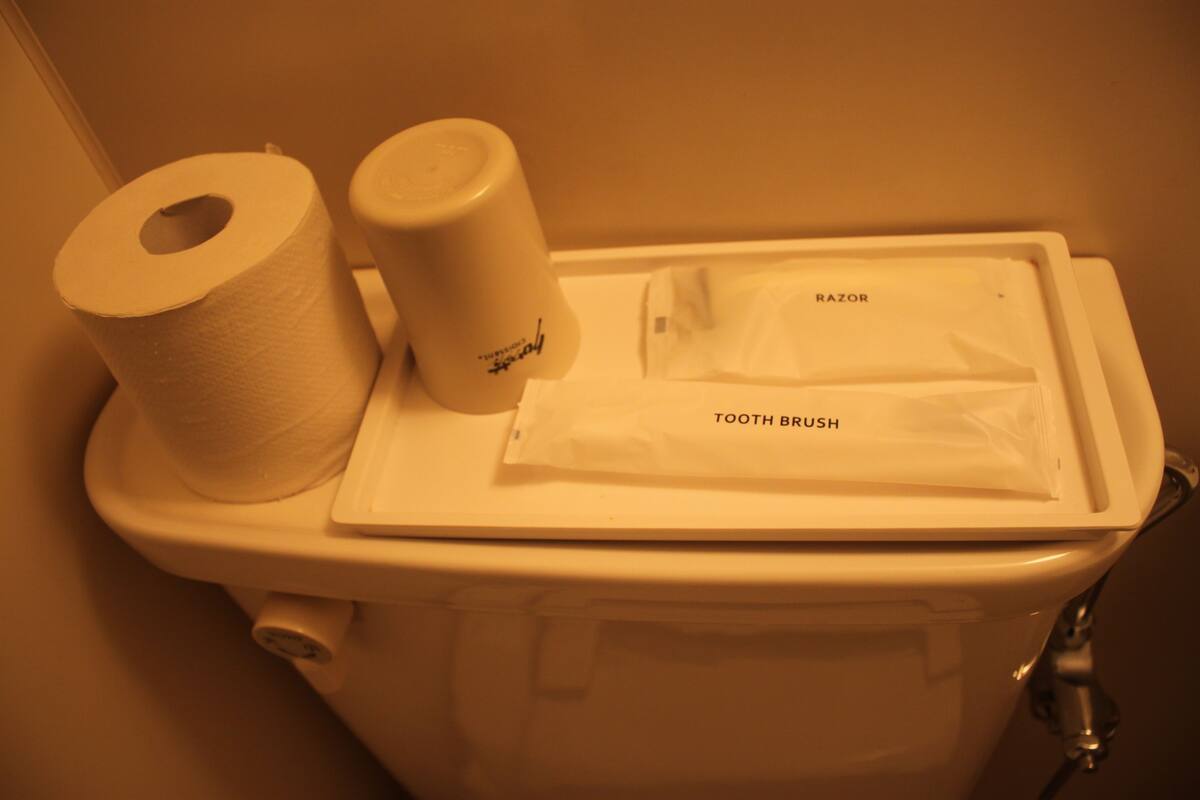 shower, rainfall showerhead, free toiletries, hair dryer