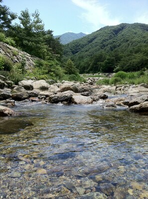 A clear stream with rocks, surrounded by green trees and mountains. - Smile Resort (Sokcho)