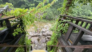 A wooden staircase leading down to a rocky stream surrounded by greenery.