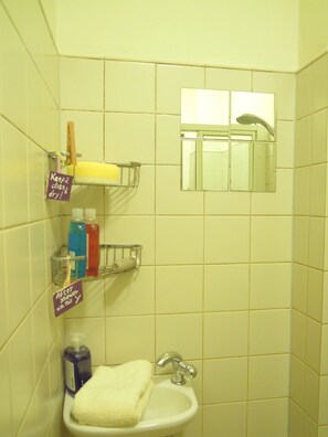 Shower, free toiletries, hair dryer, slippers