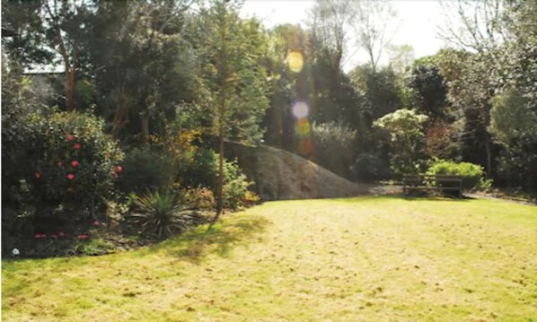 A garden with a variety of plants and trees, a grassy area, and a stone wall.