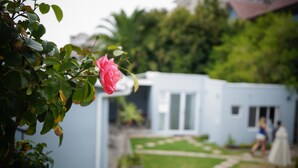 Una rosa rosa en un jardín, con un fondo desenfocado de una casa y gente.