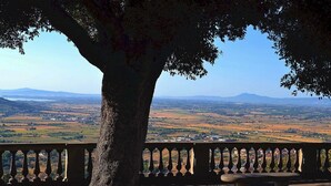 Un banc et un arbre offrent une vue panoramique sur un paysage magnifique, avec des montagnes et des champs qui s'étendent à l'horizon.