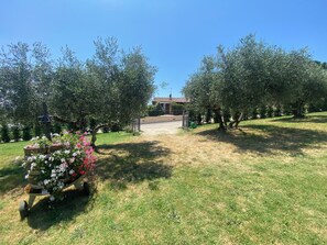 Exterior - Agriturismo La Casa del Sole (Castiglione del Lago)