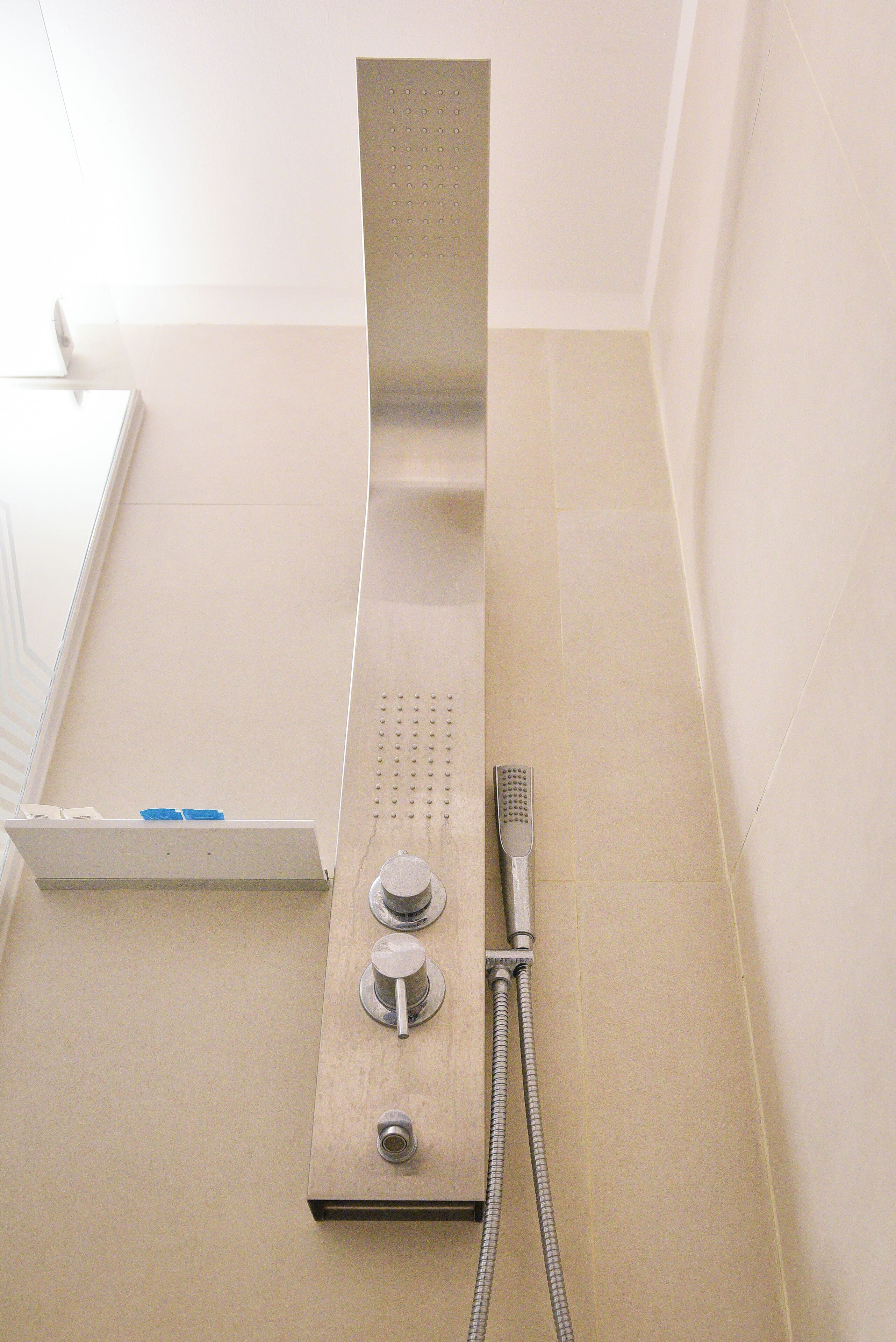 A shower with a handheld showerhead and a fixed panel.