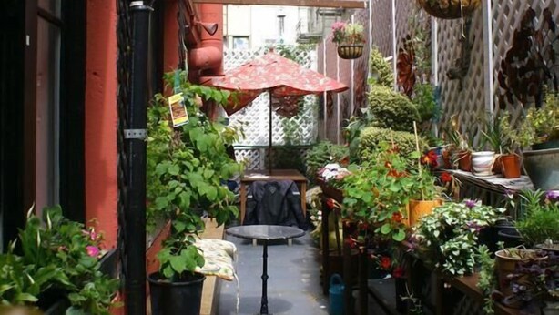 A narrow alleyway with wooden benches and potted plants. - Adelaide Hostel (San Francisco)