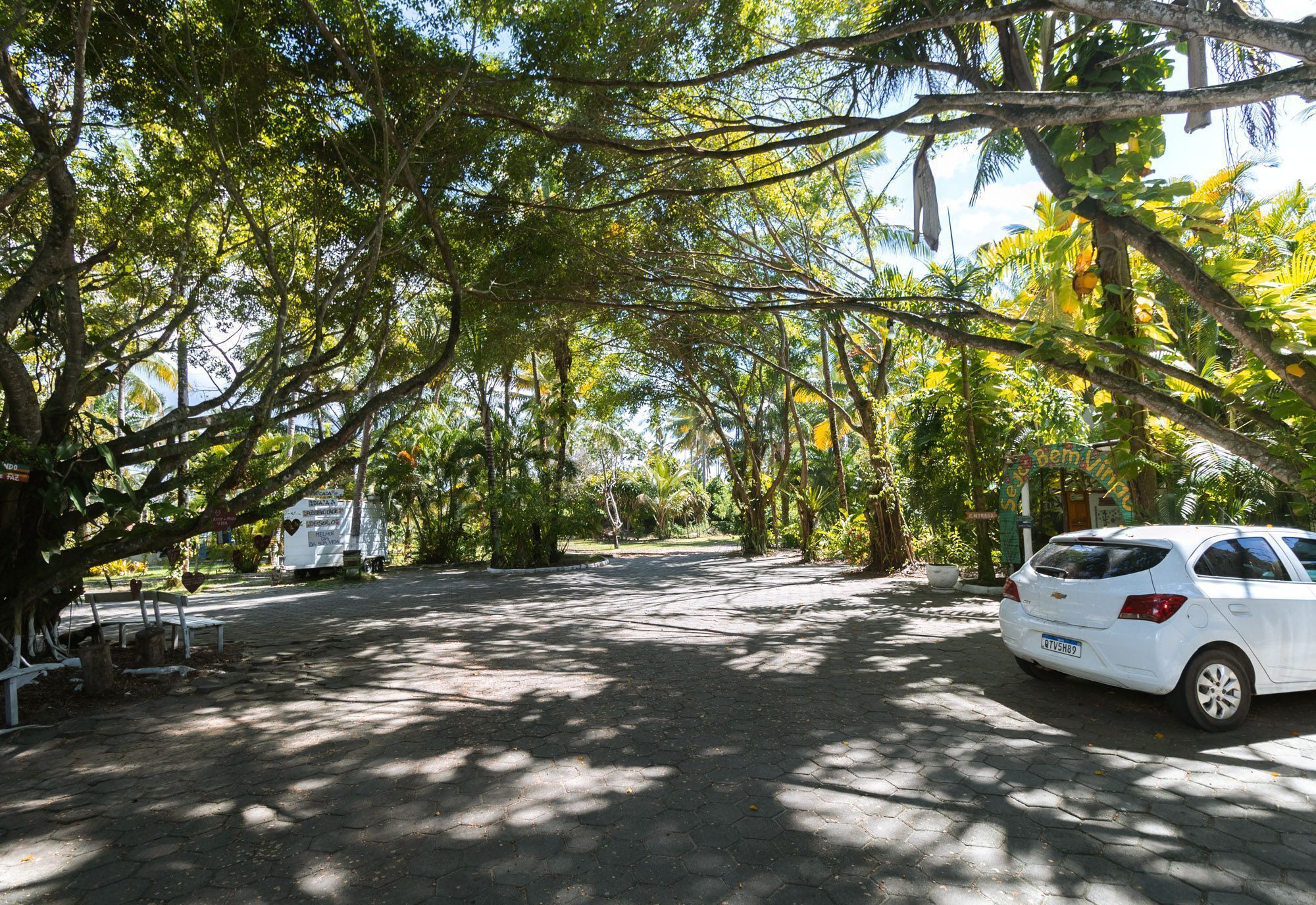 A paved pathway lined with trees and a parked white car.