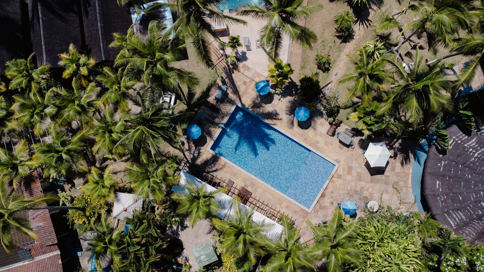 An aerial view of a swimming pool surrounded by palm trees and outdoor seating areas.