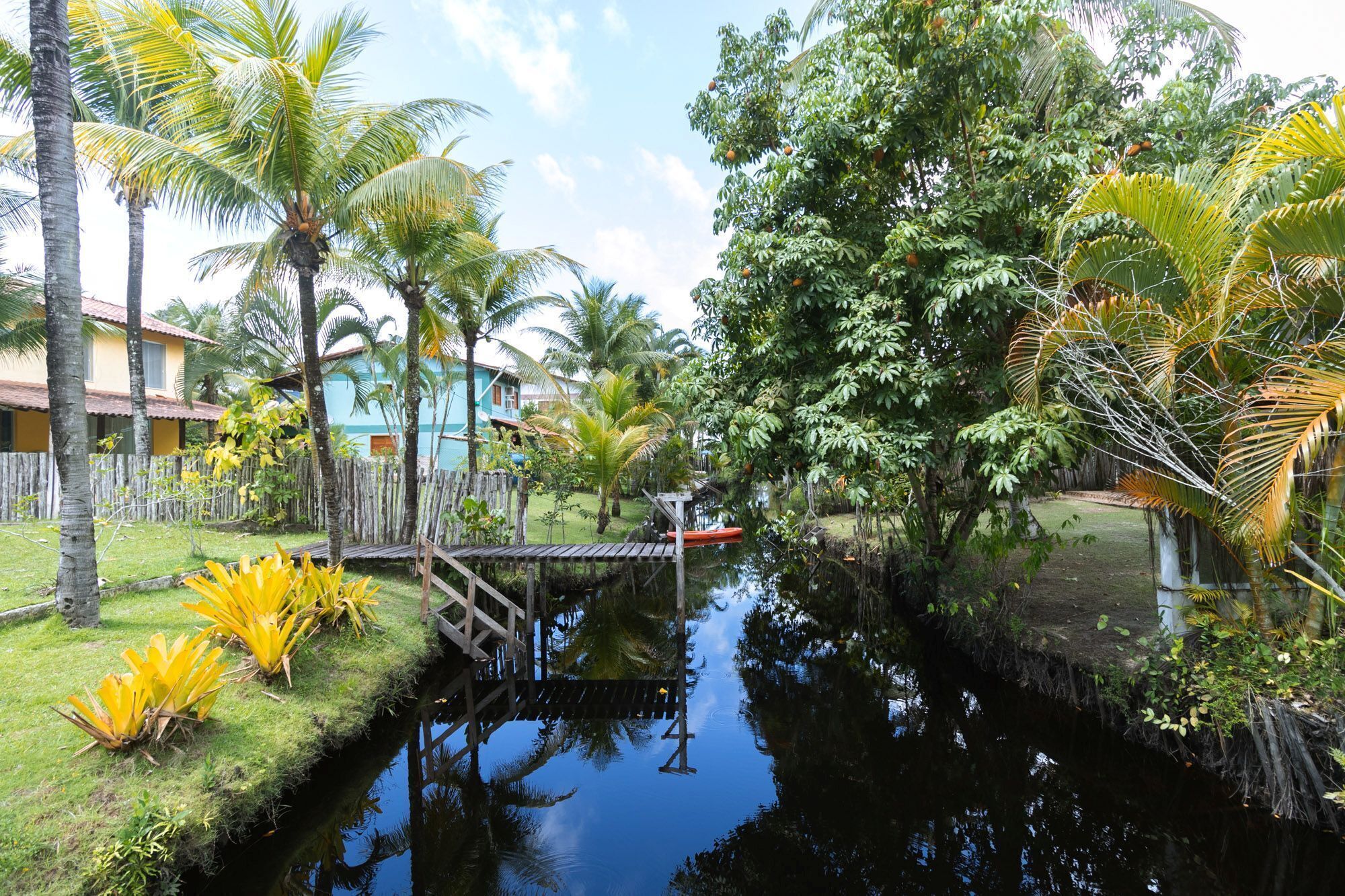 A serene waterway with a wooden bridge, surrounded by lush greenery and palm trees.