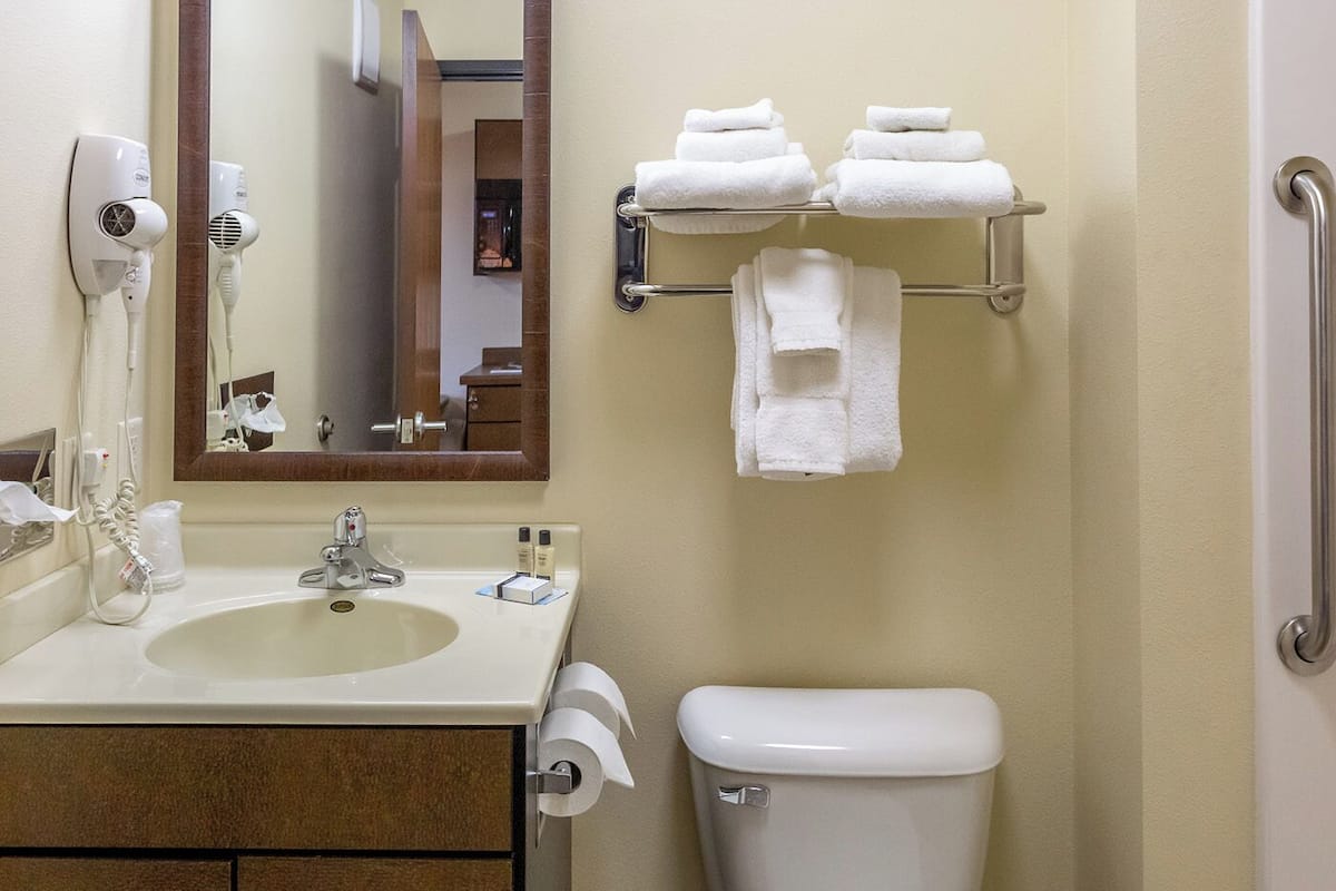 combined shower/bathtub, free toiletries, hair dryer, towels