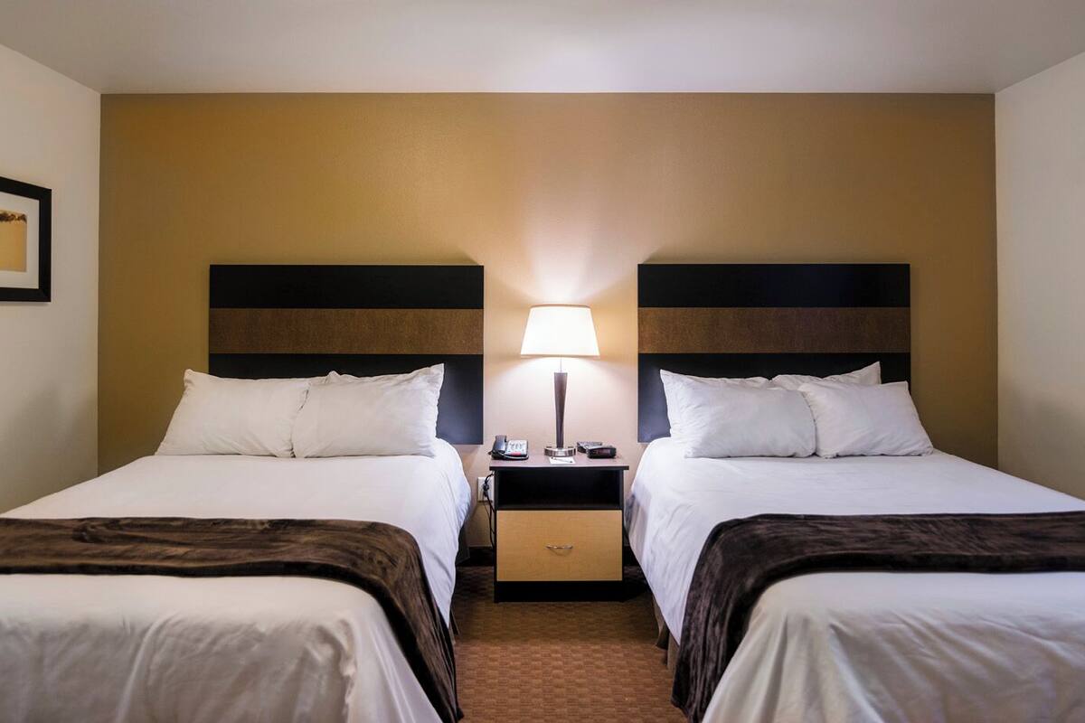 room, 2 single beds | premium bedding, pillow-top beds, desk, laptop workspace