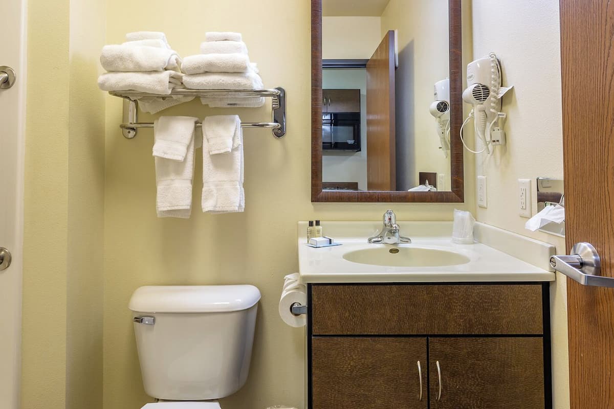 combined shower/bathtub, free toiletries, hair dryer, towels