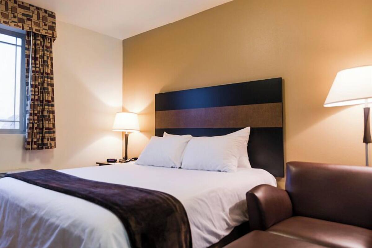 A hotel room with a bed, a nightstand, a lamp, a chair, and a window with patterned curtains.