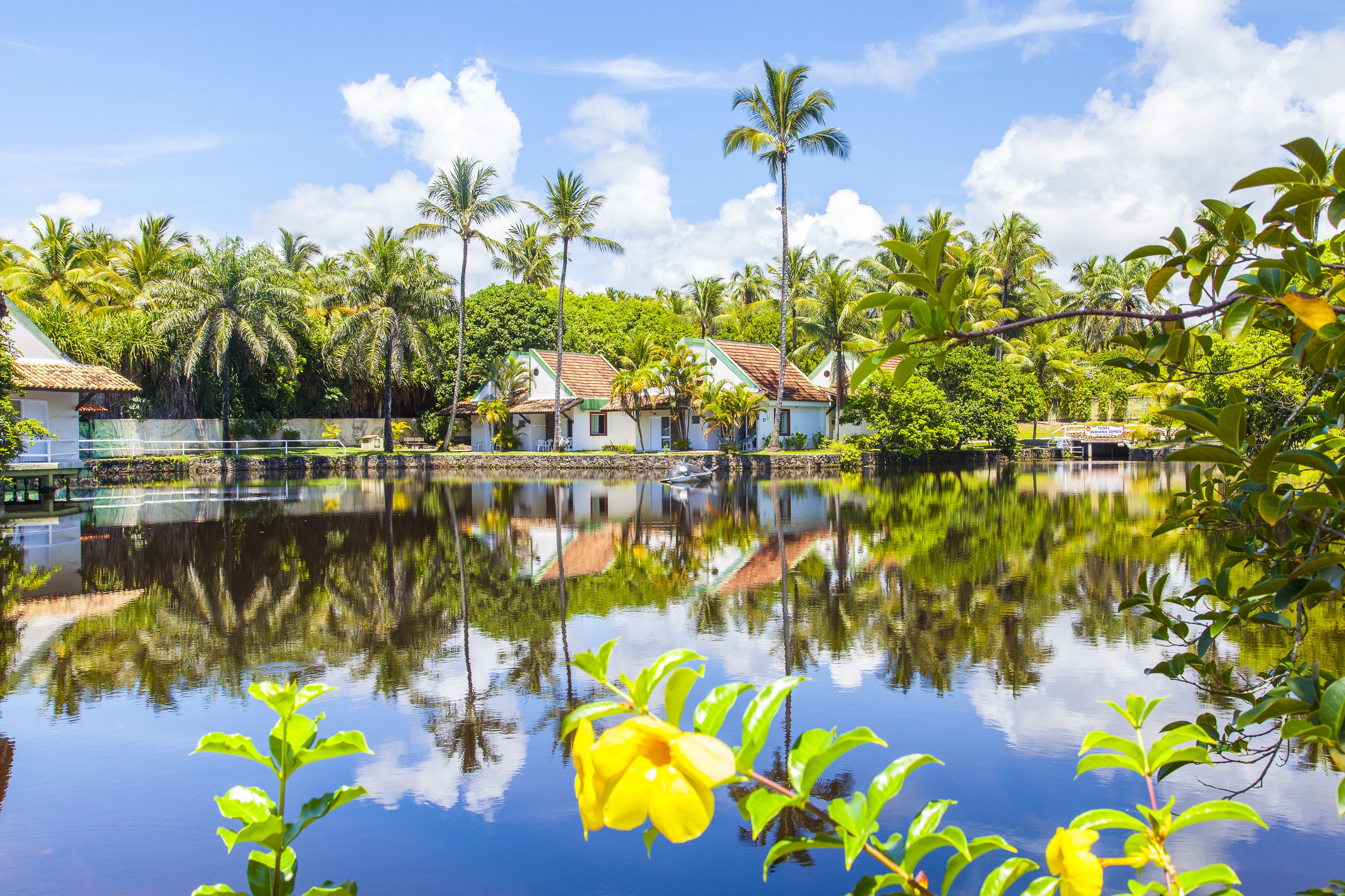 A serene lakeside scene with houses and palm trees.