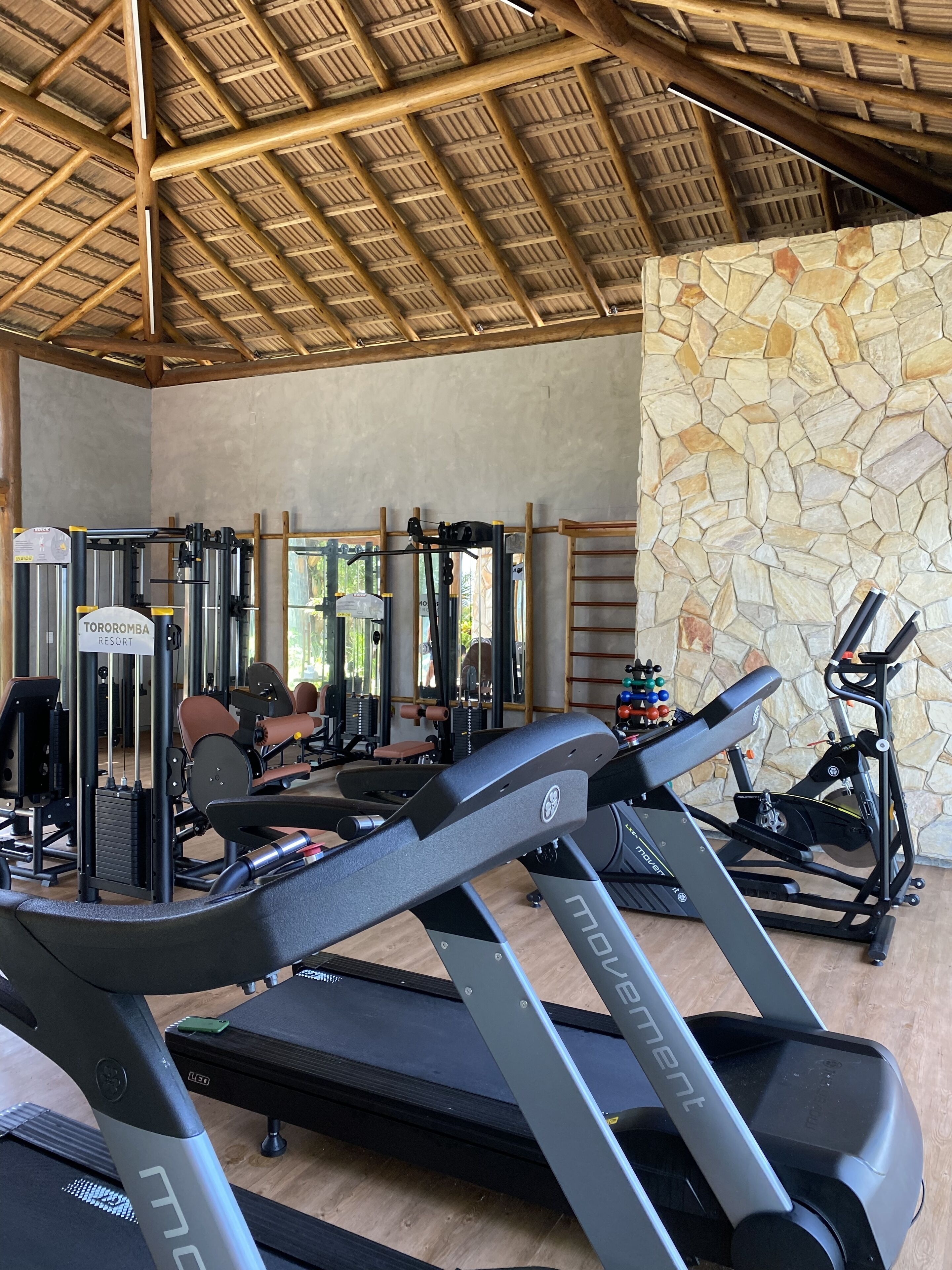 Ein Fitnessstudio mit Laufbändern, Krafttrainingsgeräten und einer Steinwand.
