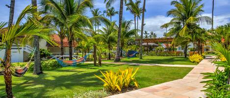 A tropical garden with palm trees, a hammock, and a paved walkway.