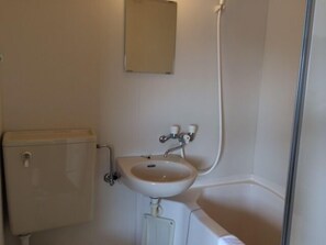 Combined shower/tub, hair dryer
