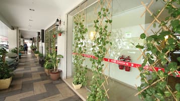 Detalle exterior
