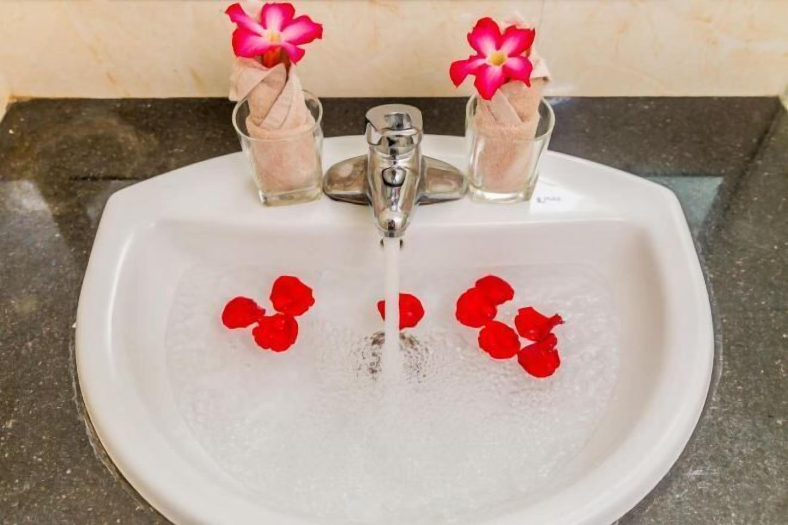 Ducha, cabezal de ducha con hidromasaje