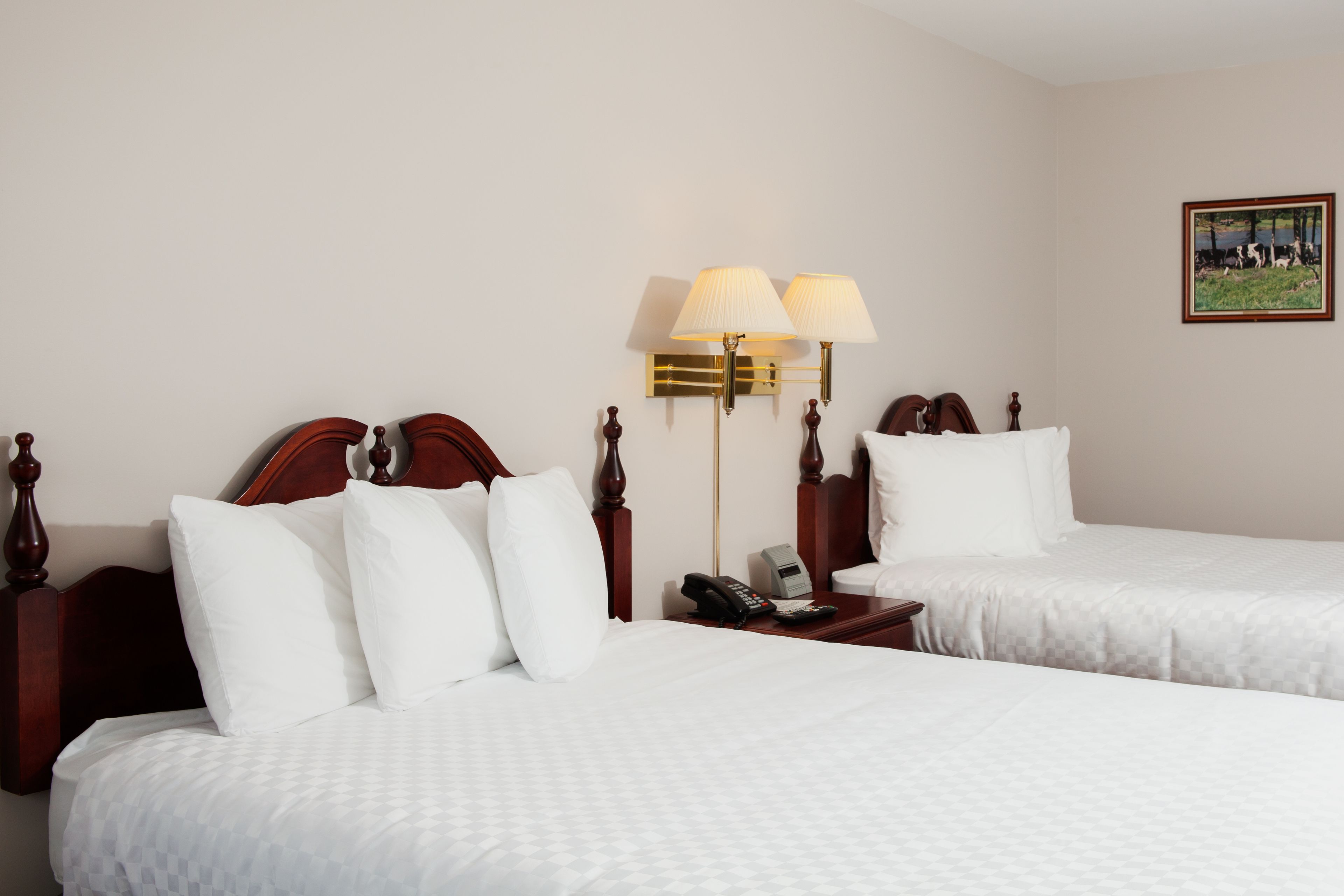 standard room, 2 queen beds | mini fridge