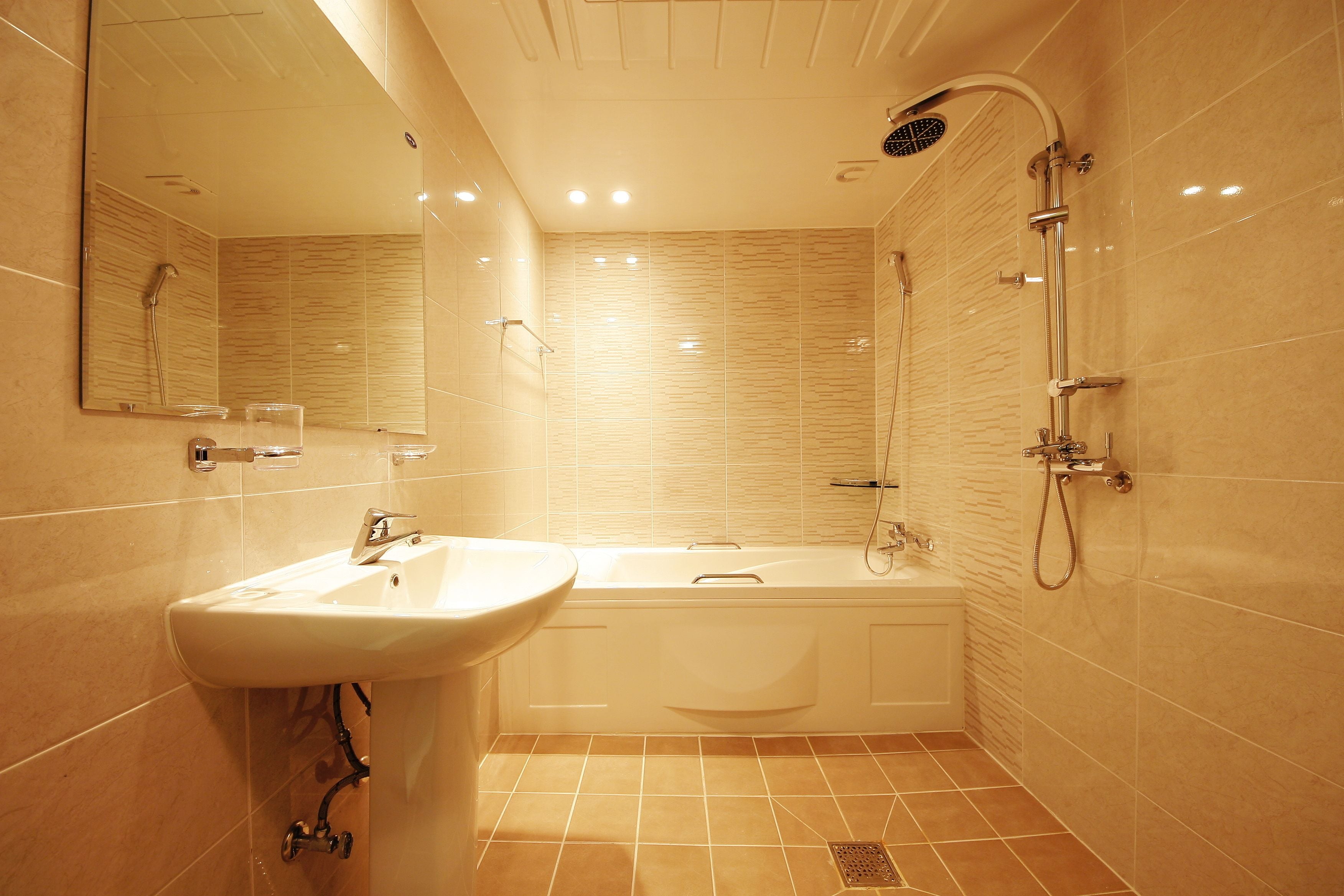 combined shower/bathtub, free toiletries, hair dryer, bathrobes