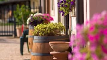 Área da propriedade