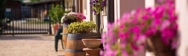 Enceinte de l’hébergement